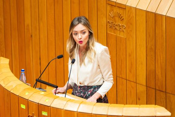 Imaxe da nova:A Xunta reitera a necesidade de crear novos xulgados de violencia de xénero que atendan ao incremento de casos