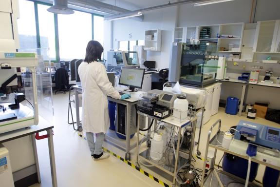 Imaxe da nova:A Xunta convoca tres novas prazas de investigador distinguido no programa Oportunius para captar e reter talento científico en Gali...