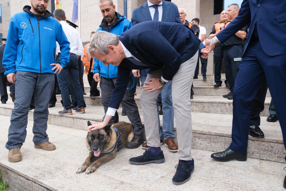 Imaxe 9 de 9 asociada á nova