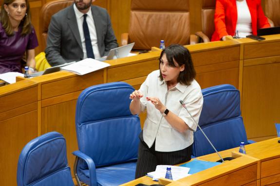 Imagen de la noticia:La Xunta defiende un desarrollo del sector minero garantista, sostenible y respetuoso con el entorno