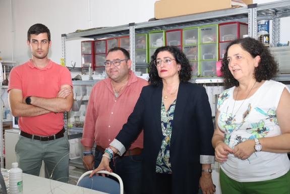 Imaxe da nova:Belén do Campo anima aos artesáns da Coruña a solicitar as axudas para o fomento da comercialización da Artesanía de Galicia