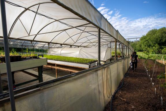 Imagen de la noticia:La Xunta amplía hasta los 5 M€ los fondos para financiar actuaciones de eficiencia energética en explotaciones agropecuarias...