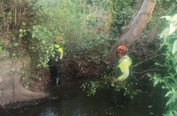 Imagen de la noticia:La Xunta realiza labores de conservación y mantenimiento en 3 kilómetros del arroyo de San Vicenzo, en Valdoviño