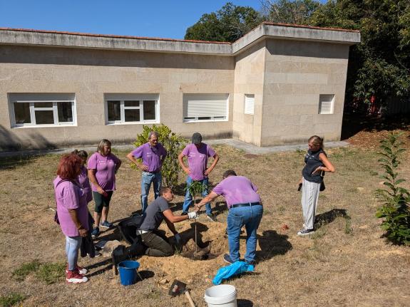 Imaxe da nova:Medio Rural organiza esta semana tres accións formativas sobre a plantación de castiñeiros e a xestión de soutos en Riós e o Incio