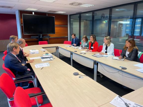 Imagen de la noticia:Galicia solicita la ayuda de Europa para desbloquear la tramitación de los parques eólicos y poder cumplir con la descarboni...