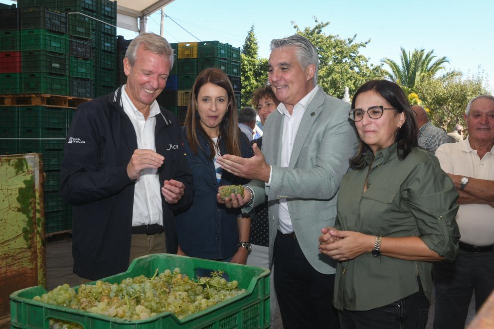 Imaxe 9 de 10 asociada á nova