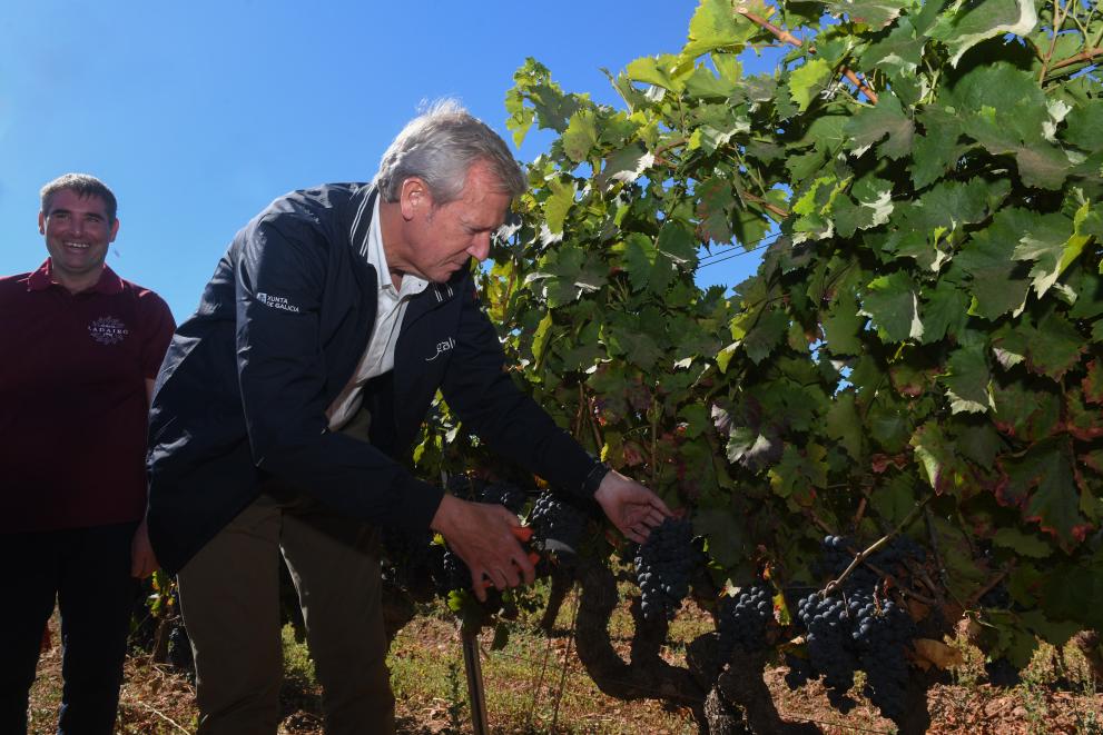 Imaxe 5 de 10 asociada á nova