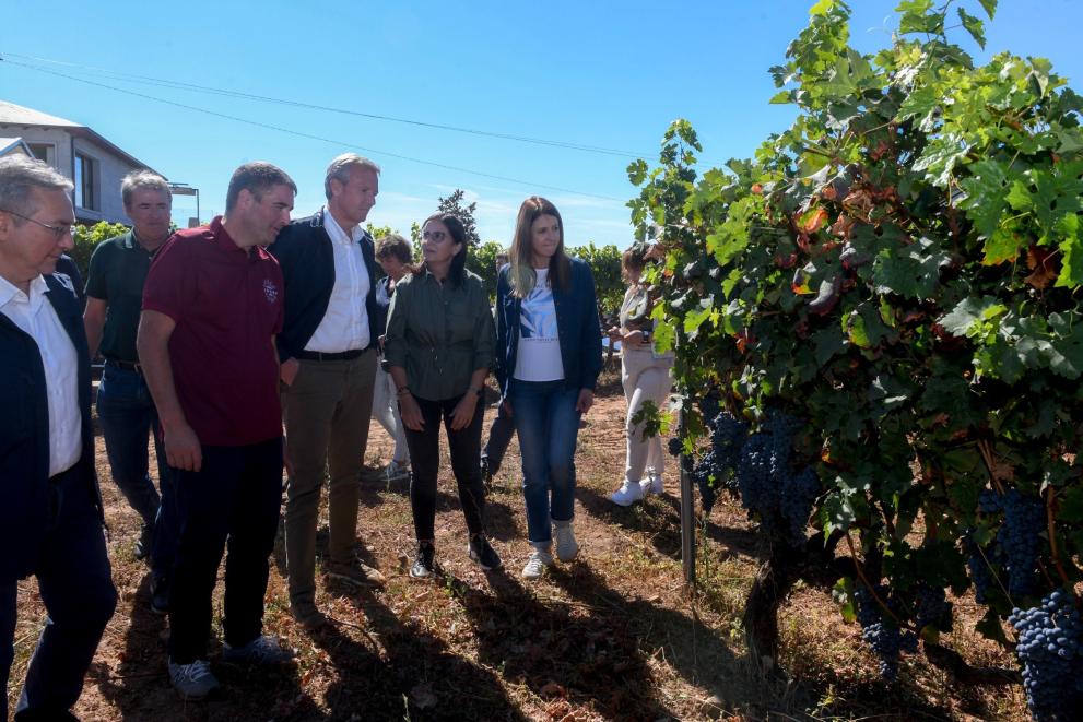 Imaxe 4 de 10 asociada á nova