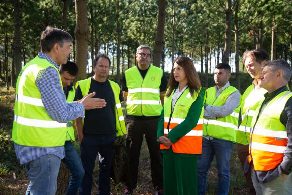 Imaxe da nova:A conselleira do Medio Rural reafirma a aposta da Xunta polo sector forestal con axudas para plantacións e accións silvícolas nunha...