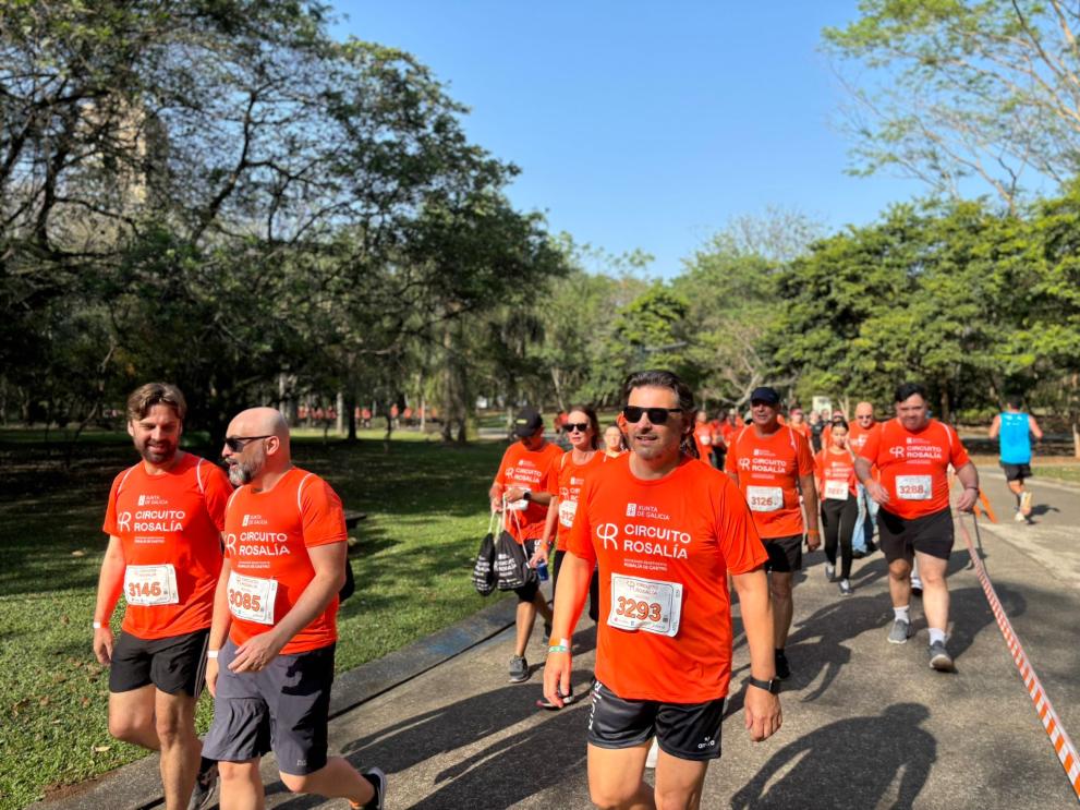 Imaxe 1 de 3 asociada á nova