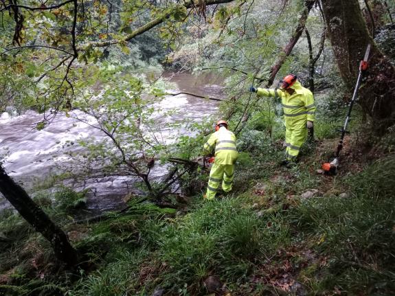Imaxe da nova:A Xunta realiza labores de conservación nun tramo de 1,3 quilómetros do río Umia, en Caldas de Reis