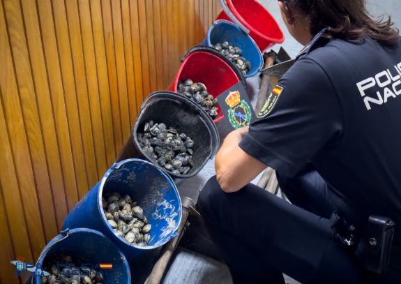Imagen de la noticia:La Policía Autonómica decomisa más de 28 kilos de almeja en Ferrol