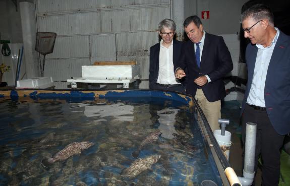 Imagen de la noticia:La Xunta incrementa con un millón de euros adicionales el apoyo a los centros tecnológicos gallegos