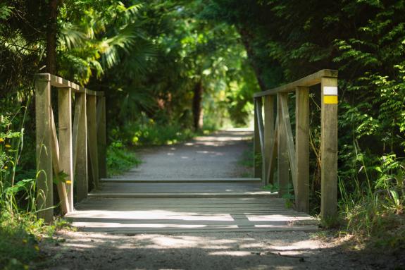 Imaxe da nova:Galicia e Portugal avalían o borrador do Plan transfronteirizo da paisaxe do Baixo Miño para garantir a preservación deste espazo n...