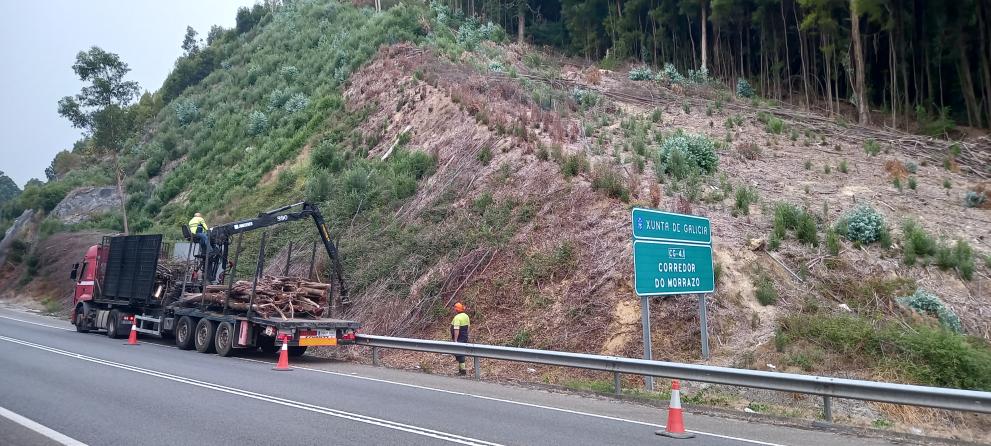 Imagen 1 de 2 asociada a la noticia