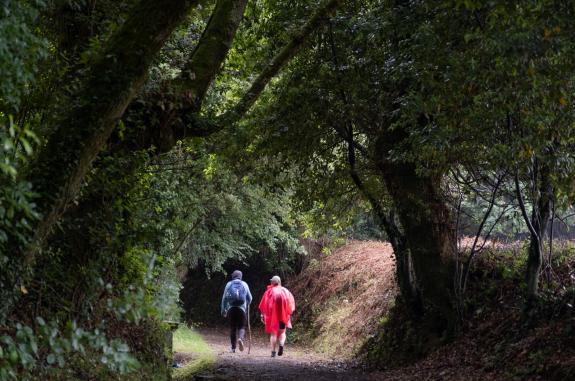 Imagen de la noticia:Rueda destaca que la Xunta blindará la seguridad viaria de los peregrinos en los Caminos de Santiago en el horizonte del Xac...