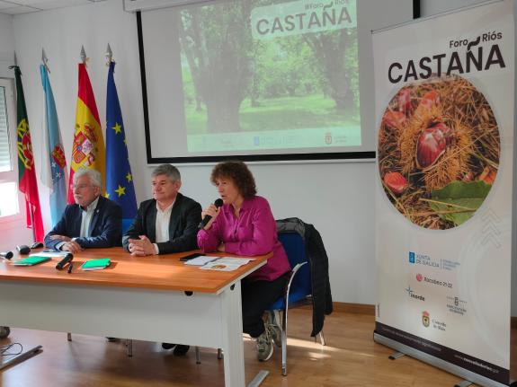 Imaxe da nova:Medio Rural destaca que Galicia é líder nacional no fomento do castiñeiro por superficie cultivada, calidade da produción e loita c...