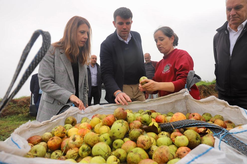 Imagen 1 de 2 asociada a la noticia