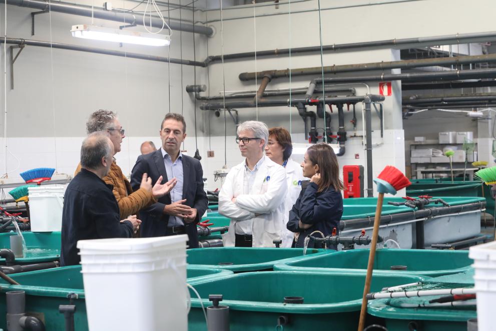 Imaxe 2 de 4 asociada á nova