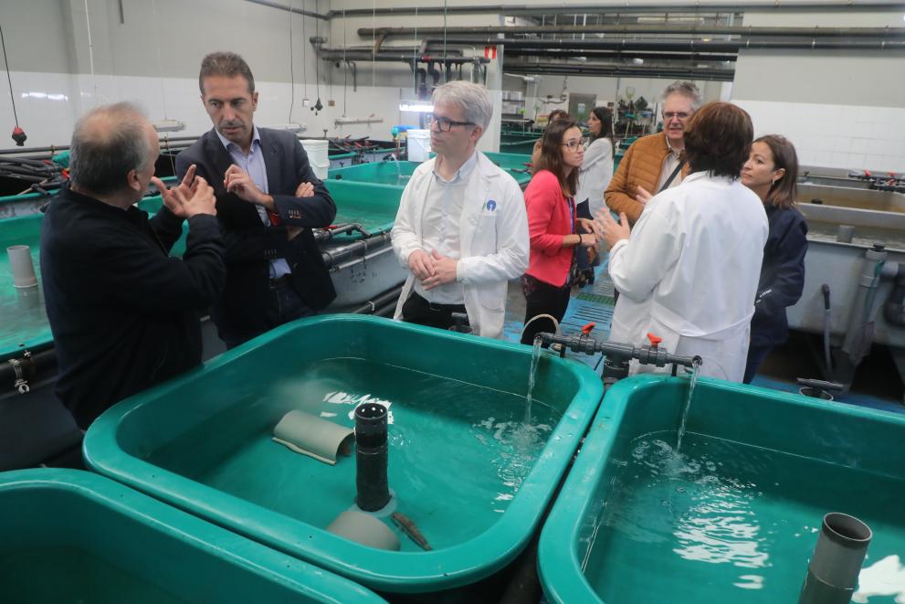 Imaxe 3 de 4 asociada á nova