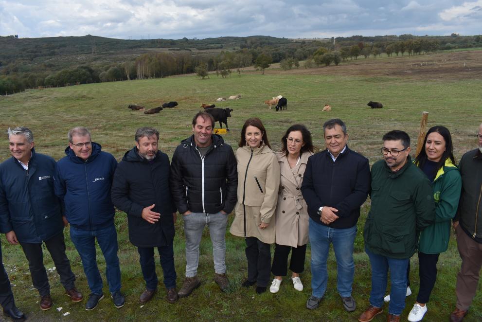 Imagen 3 de 4 asociada a la noticia
