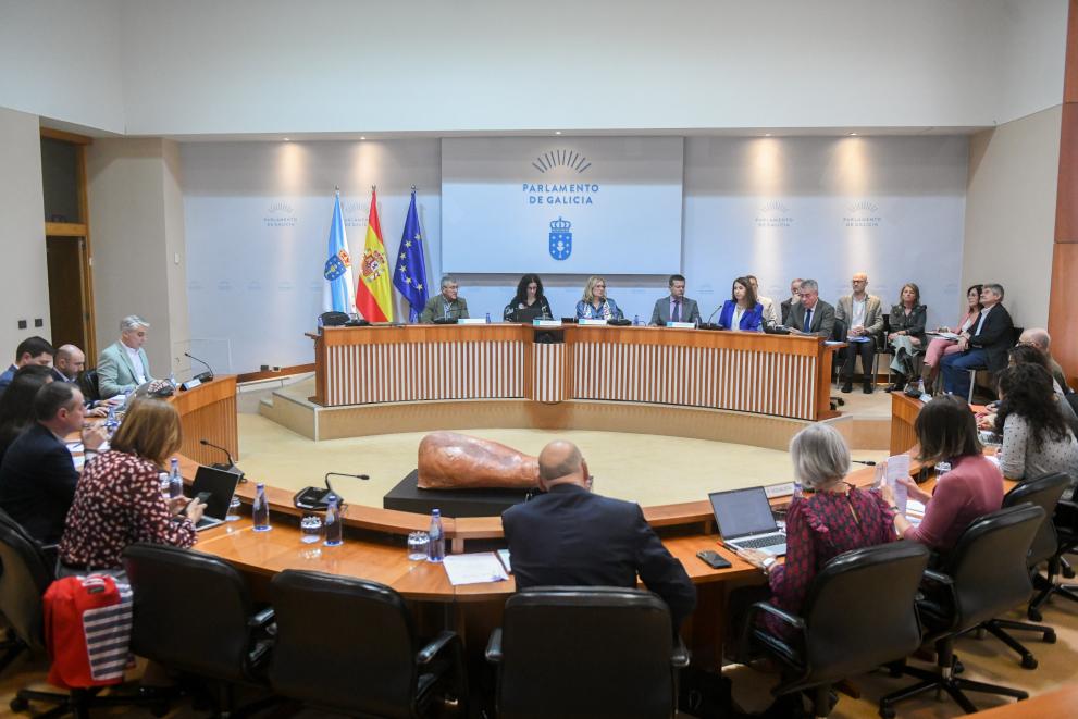 Imaxe 4 de 5 asociada á nova