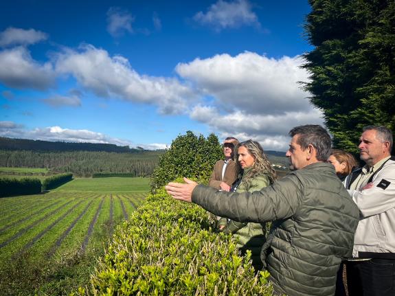 Imaxe da nova:Martina Aneiros anima a empresas e autónomos de Ferrolterra a solicitar as axudas para infraestruturas de almacenamento enerxético