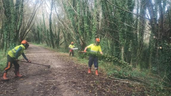 Imaxe da nova:A Xunta realiza labores de conservación nun tramo de preto de 10 quilómetros do río Mero, en Cambre