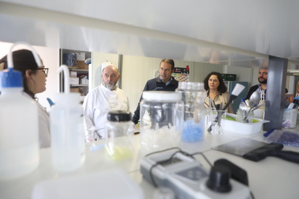 Imaxe 4 de 4 asociada á nova