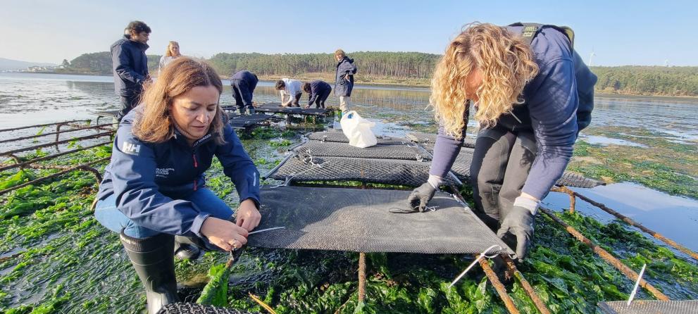 Imagen 2 de 3 asociada a la noticia