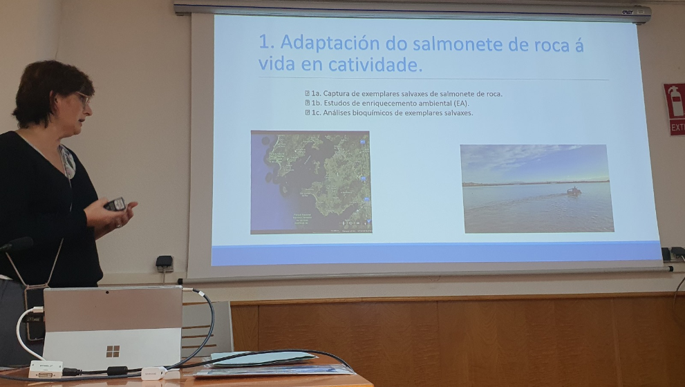 Imagen 4 de 5 asociada a la noticia