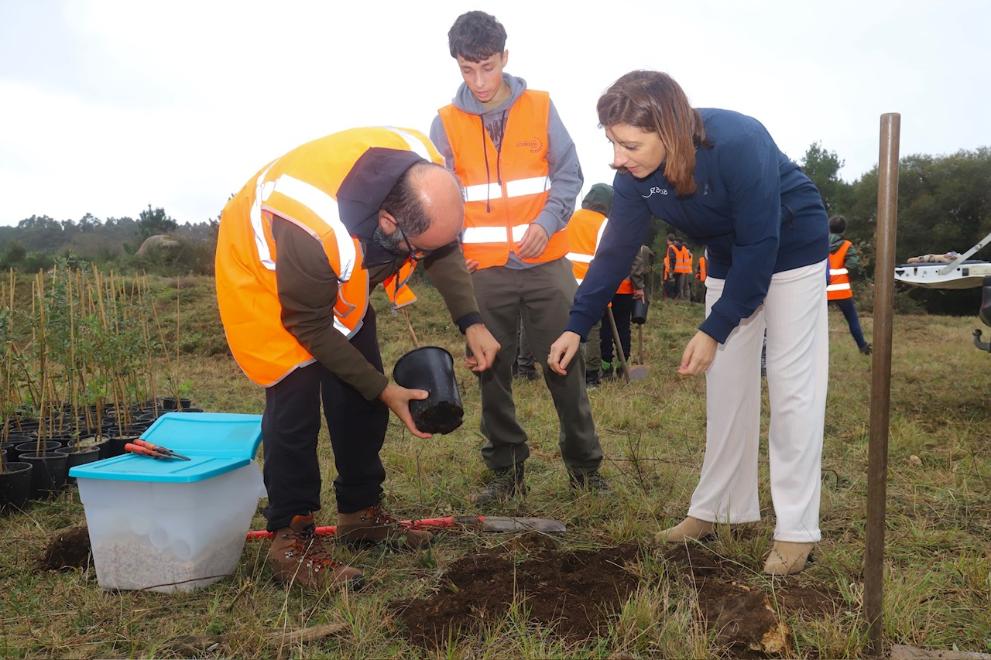 Imaxe 1 de 3 asociada á nova