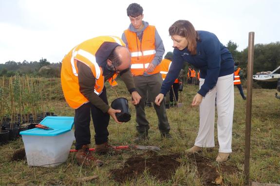Imagen de la noticia:La Xunta aboga por la recuperación de especies autóctonas para garantizar la preservación de la biodiversidad de los parques...