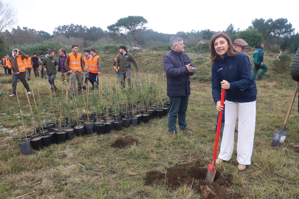 Imaxe 3 de 3 asociada á nova