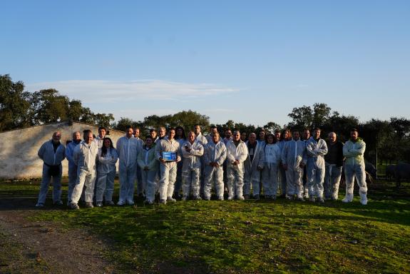 Imaxe da nova:Medio Rural organiza unha acción formativa na devesa salmantina para que gandeiros galegos coñezan prácticas innovadoras aplicadas ...