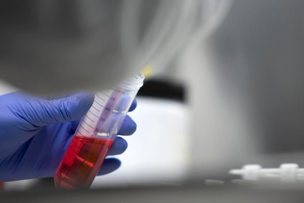 Imagen 1 de 1 asociada a la noticia