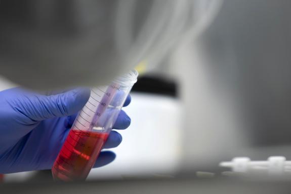 Imagen de la noticia:El programa 'Iacobus' abre la convocatoria 2024-2025 para las estadías de investigación, publicaciones científicas y patente...