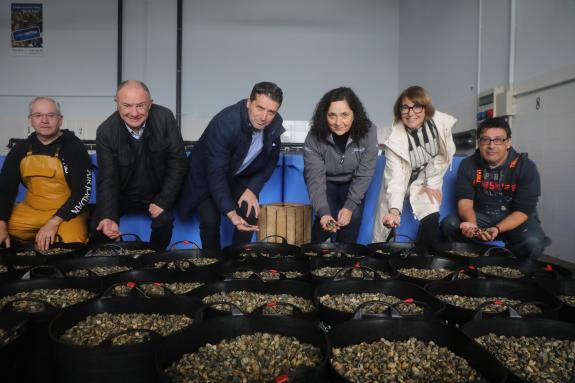 Imaxe da nova:A Xunta rexenera a parte interna da zona norte da ría de Arousa con 740.246 unidades de semente de ameixa xaponesa