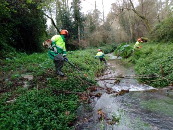 Imaxe da nova:A Xunta realiza labores de conservación en varios tramos de río no concello de Redondela que suman preto de 5,5 quilómetros