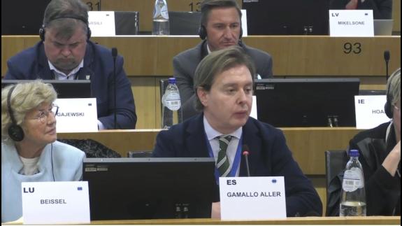 Imaxe da nova:A Xunta defende en Bruxelas o Estado de Dereito e o compromiso co impulso dos valores democráticos