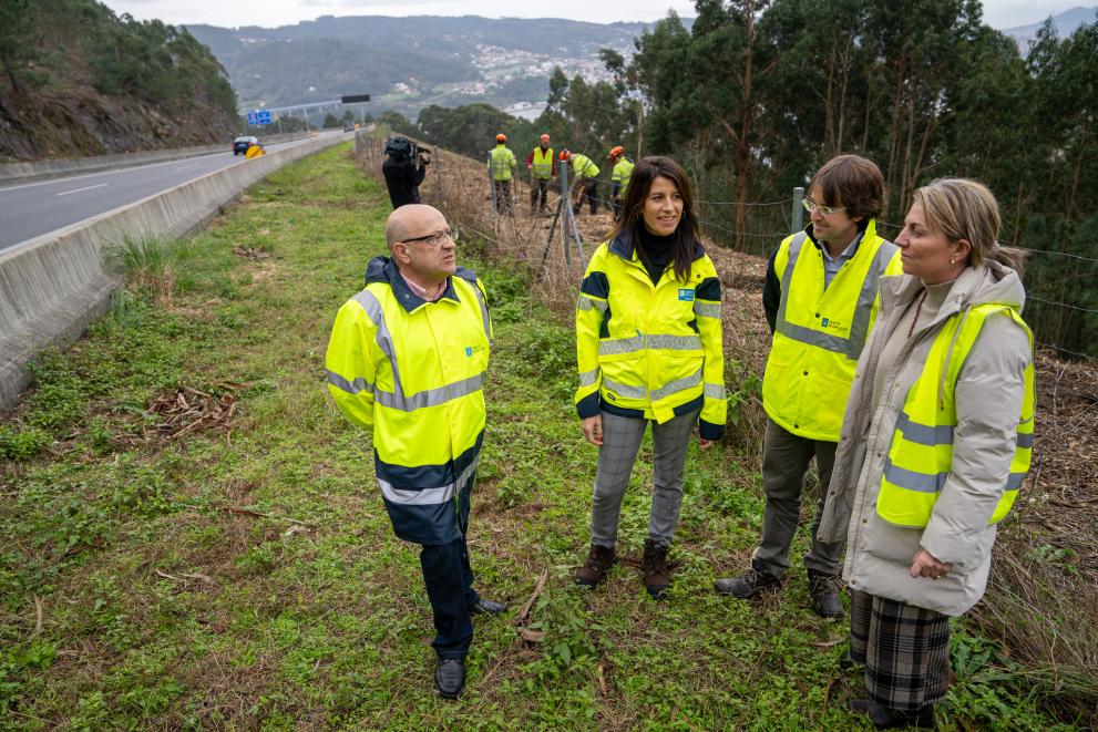 Imaxe 4 de 4 asociada á nova