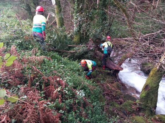 Imaxe da nova:A Xunta realiza labores de conservación en varios ríos no concello de Outes que suman máis de 12 quilómetros