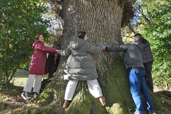 Imaxe da nova:A Carballa da Rocha convértese no quinto monumento natural de Galicia en contar cun plan de xestión para garantir a súa preservació...