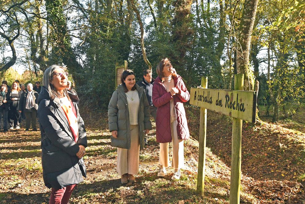 Imaxe 2 de 3 asociada á nova