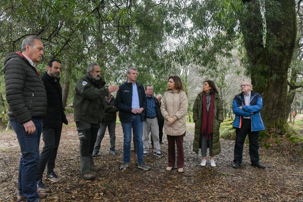 Imagen 4 de 10 asociada a la noticia