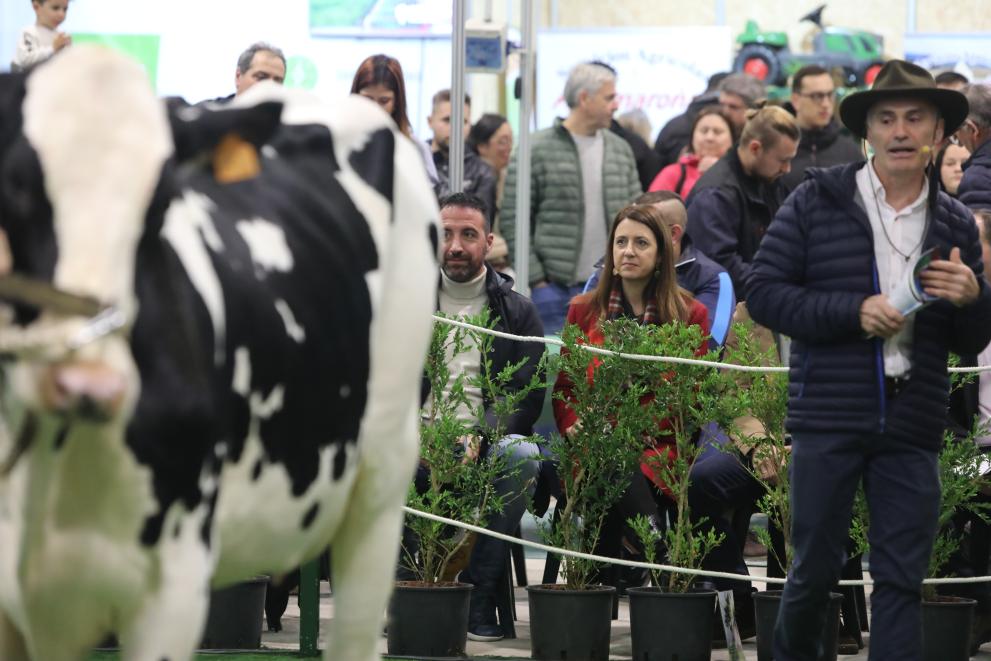 Imaxe 2 de 3 asociada á nova