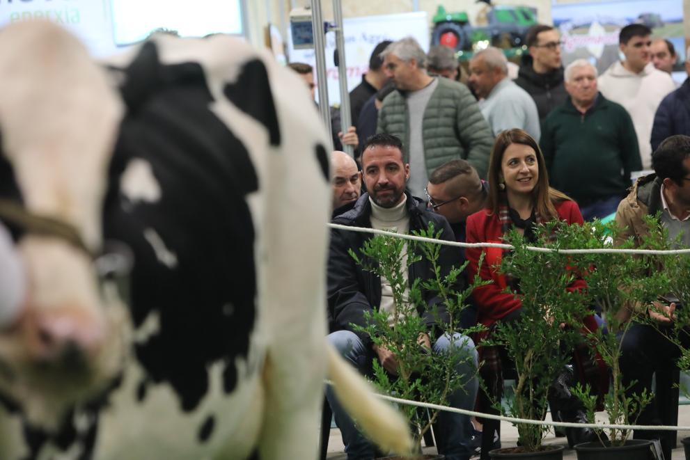 Imaxe 1 de 3 asociada á nova