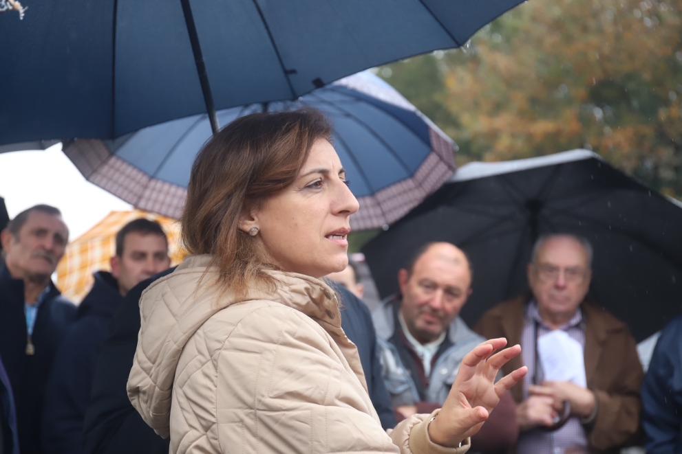 Imaxe 2 de 2 asociada á nova