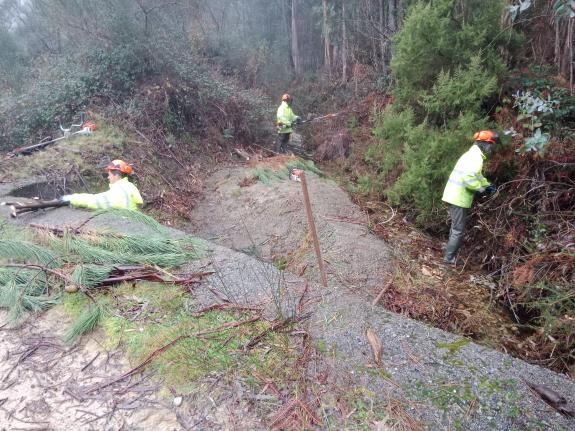 Imagen de la noticia:La Xunta realiza labores de conservación en varios ríos en el ayuntamiento de Moaña que suman más de 7,2 km