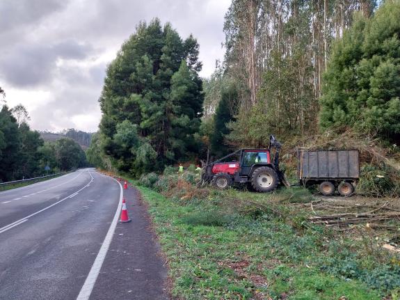 Imaxe da nova:A Xunta continúa os traballos de limpeza e roza nas marxes das estradas de titularidade autonómica ao seu paso por sete municipios ...